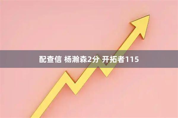 配查信 杨瀚森2分 开拓者115
