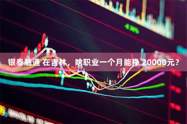 银泰融通 在吉林，啥职业一个月能挣 20000元？